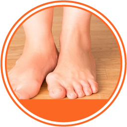 Enfermedad de Charcot-Marie-Tooth círculo